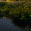 Thumbnail of related posts 098