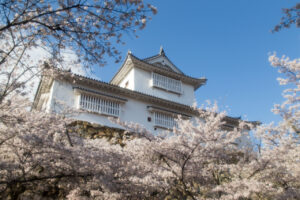 2014年4月5日 津山さくらまつり （鶴山公園にて）